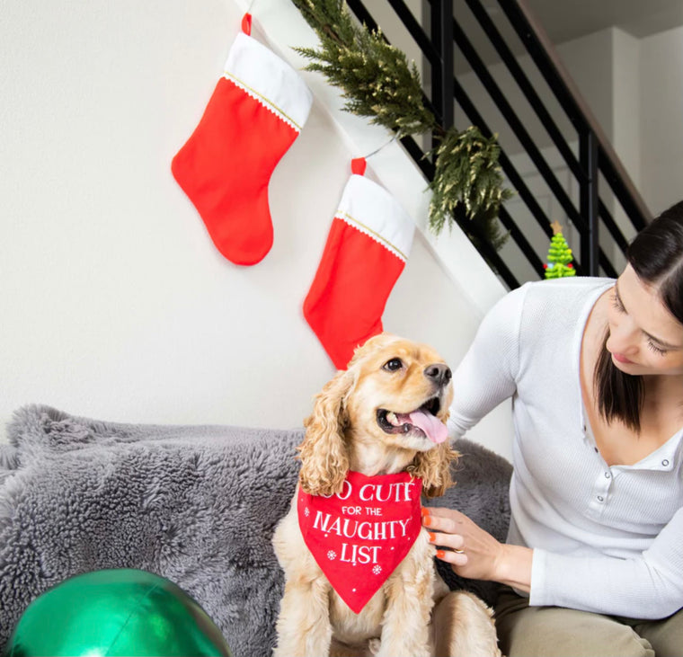 Holiday Pet Bandana