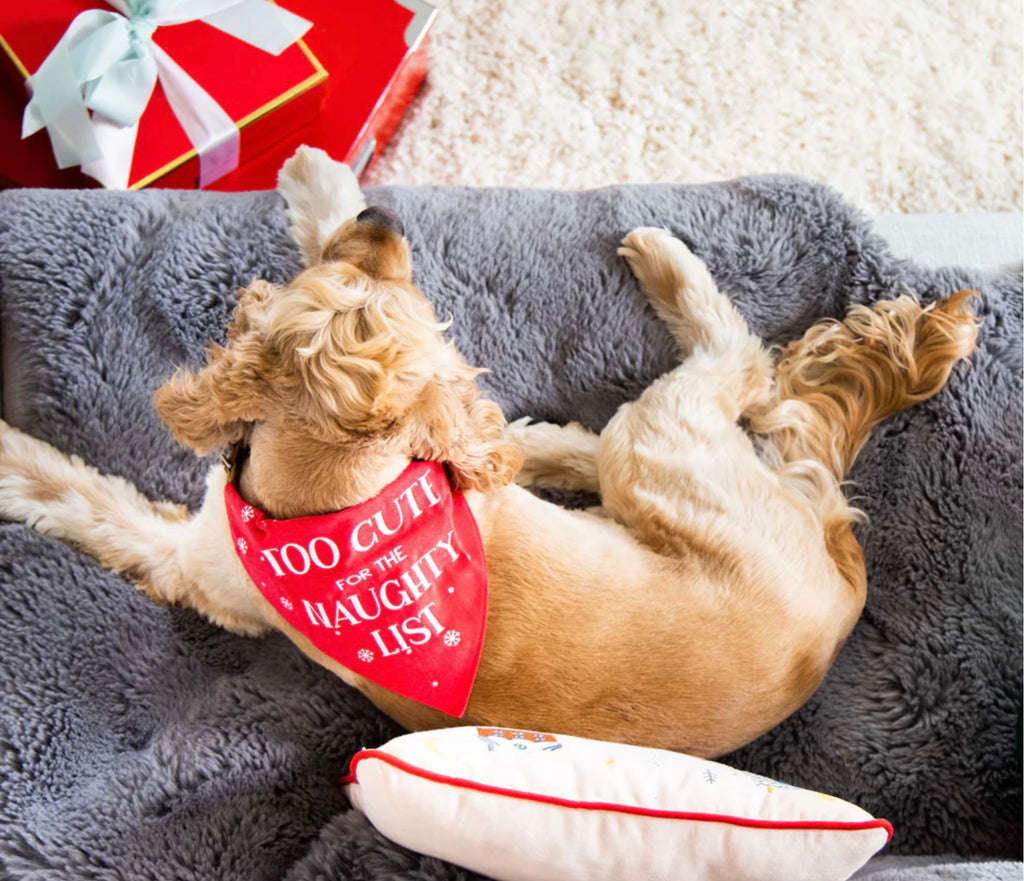 Holiday Pet Bandana