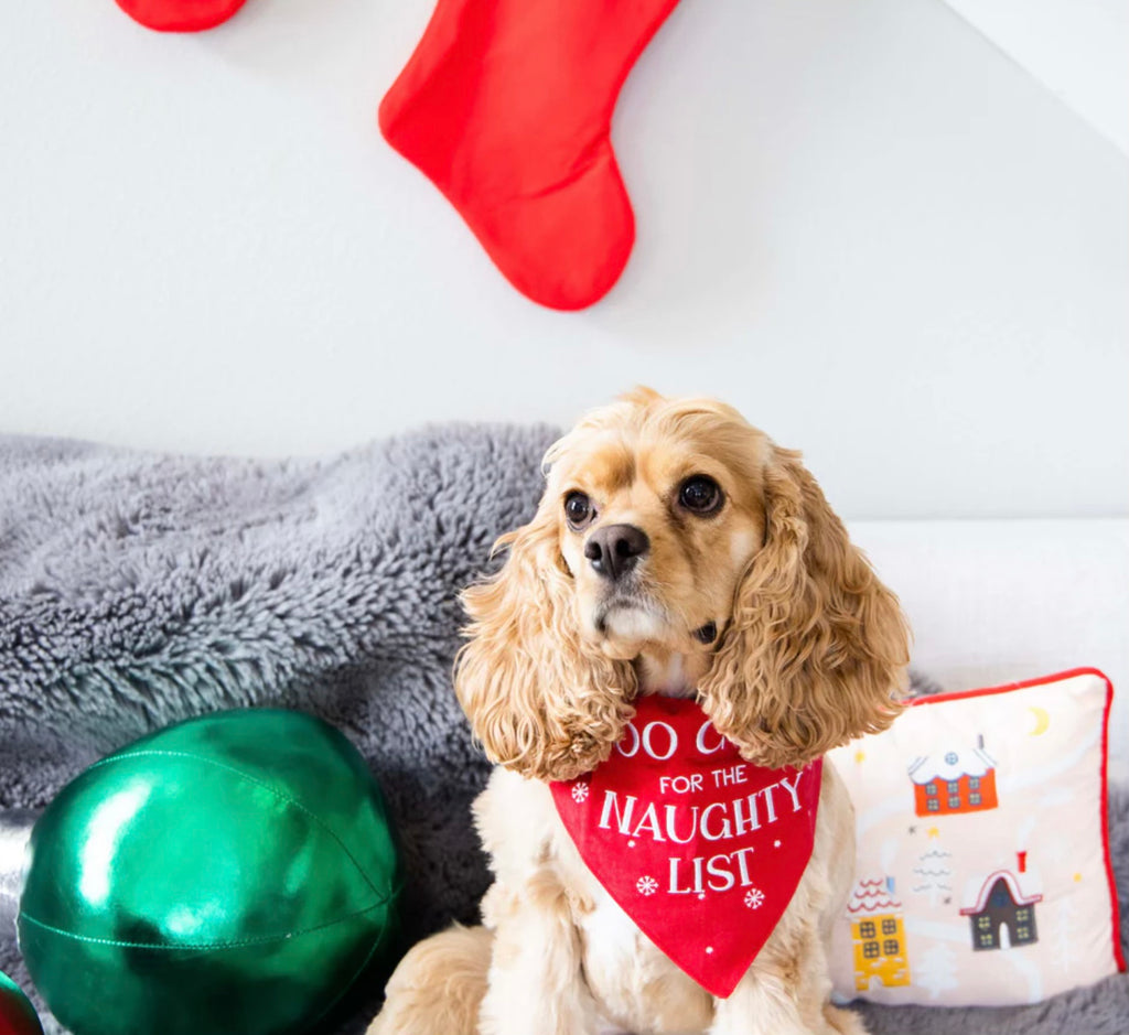 Holiday Pet Bandana