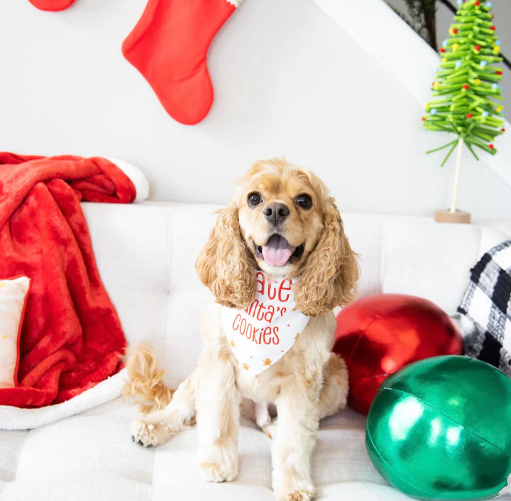 Holiday Pet Bandana