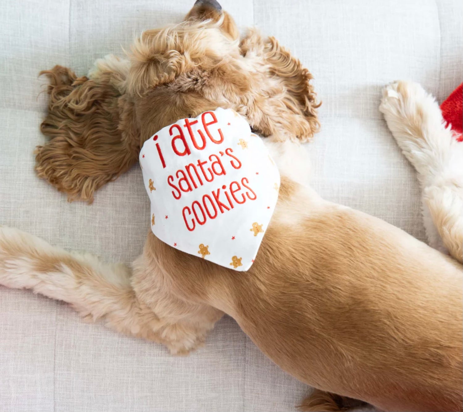 Holiday Pet Bandana