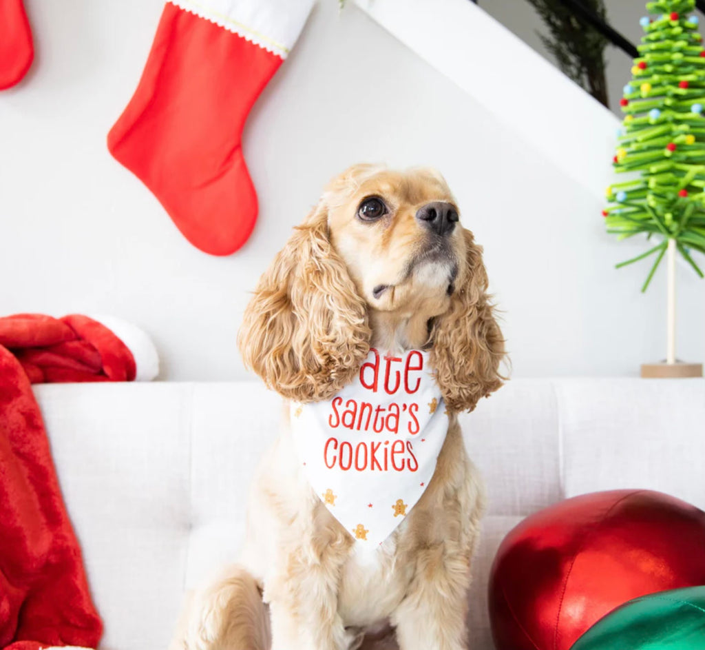 Holiday Pet Bandana